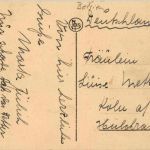 Knicke s Mer - Avenue Lippens