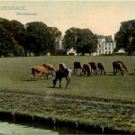 s Gravenhage