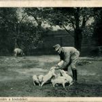 Kepes Ujsag - Engedjetek hozzam a kisdedeket