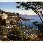 Genovo - Nervi