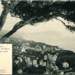 Nervi