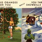 Florida - Picking Oranges