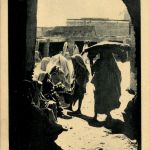 Marrakech - Le Marche