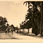 Marrakech