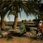 Sous les Palmes