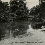 Calcutta - Jardin Zoologique