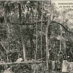 Pondichery - Jardin Zoologique