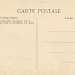 Congo - Cocotier