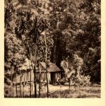 Madagascar - Paysage de la Cote Est