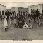 Djibouti - Retour dans la brousse