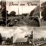 Born am Darss