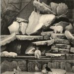 Hamburg Stellingen - Carl Hagenbecks Tierpark