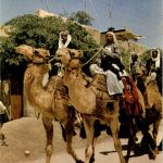 Bedouin
