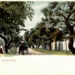 Darmstadt - Schepp allee