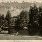 Königsfeld - Neuer Waldsee