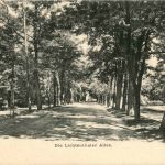 Baden-Baden - Lichtenthaler Allee