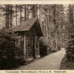 Freudenstadt - Palmenwald