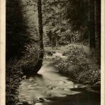 Königsfeld - Obereschacher Schlucht