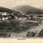 Herrenalb