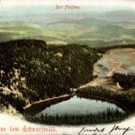 Schwarzwald - Feldsee