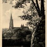 Freiburg - Münster