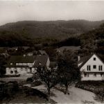 Sehringen - Gasthaus zum grünen Baum
