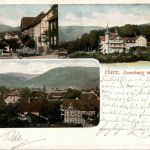 Ilsenburg - Waldhöhe