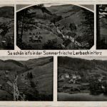 Lerbach im Harz