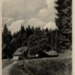 Clausthal - Zellerfeld - Untere Innerste