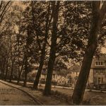 Bückeburg - Harrl Allee