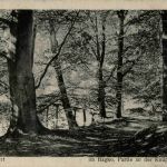 Steinfurt - Im Bagno