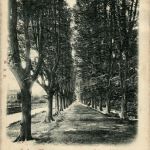 Düsseldorf - Seufzer Allee - Prägekarte