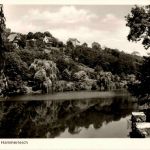 Witten - Hammerteich