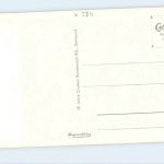 Witten - Hammerteich