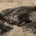 Morgenbachtal bei Trechtingshausen