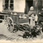 Belgique Laitiere Flamande