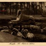Memphis - Sphinx