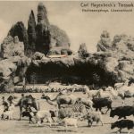 Stellingen - Carl Hagenbecks Tierpark