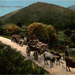 Laasphe - Holzfuhrwerke