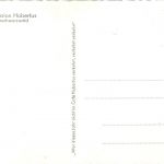 Seebrugg - Cafe Hubertus