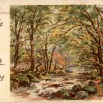 Wildbad - Kuranlagen
