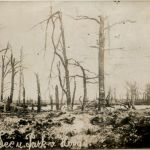 ZonnebekeSee und Park Hooge