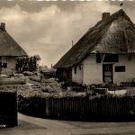Wustrow Ostseebad - Gärtnerei
