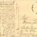 Saalfeld/Saale - Blick vom Kulmberg nach Schloss Kulm