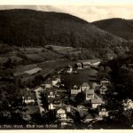 Schwarzburg/Thür. - Blick vom Schloss