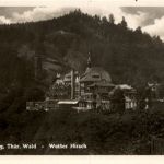 Schwarzburg/Thür.Wald - Weisser Hirsch