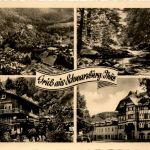 Saalfeld/Saale - Schwarzburg - div.Bilder