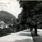 Saalfeld/Saale - Schwarzburg - Weisser Hirsch