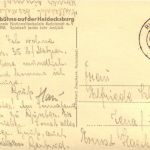 Rudolstadt/Thür - Freilichtbühne auf der Heidecksburg