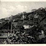 Bad Frankenhausen/Kyffh. - Weinbergvillen und Alteburg